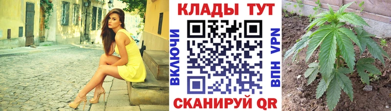 Виды наркотиков купить Алатырь Кокаин КЕТАМИН Псилоцибиновые грибы Каннабис ГАШ